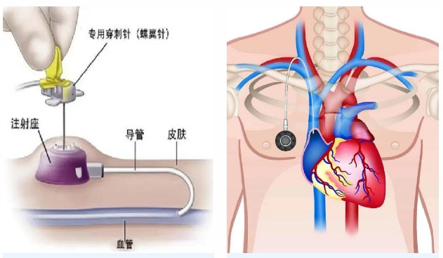 微信截图_20250101092227.png