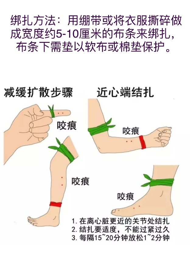 图片11.png