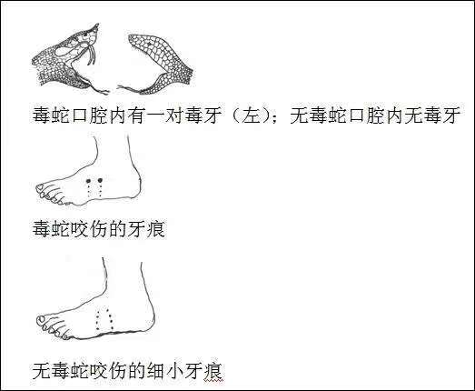 图片14.png